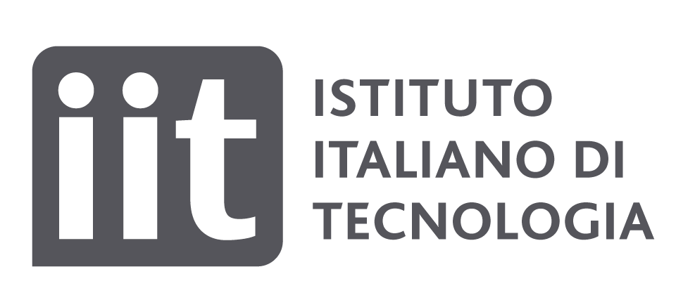 Logo IIT