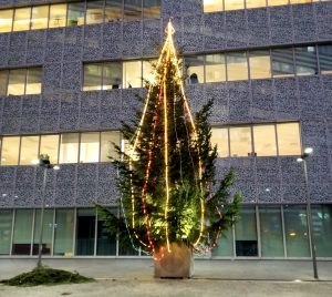 Great Campus Albero di Natale